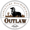 Outlaw Dachshunds
